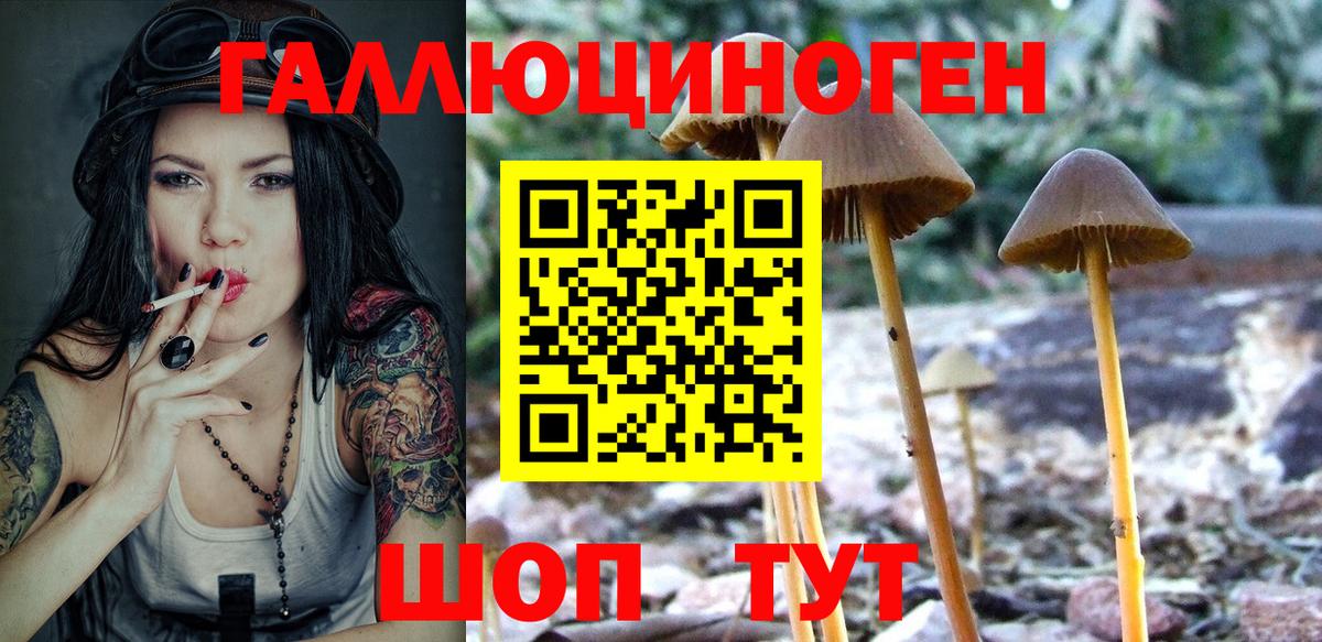 купить наркоту  Псилоцибиновые грибы Psilocybe  Вход с VPN  Горячий Ключ 