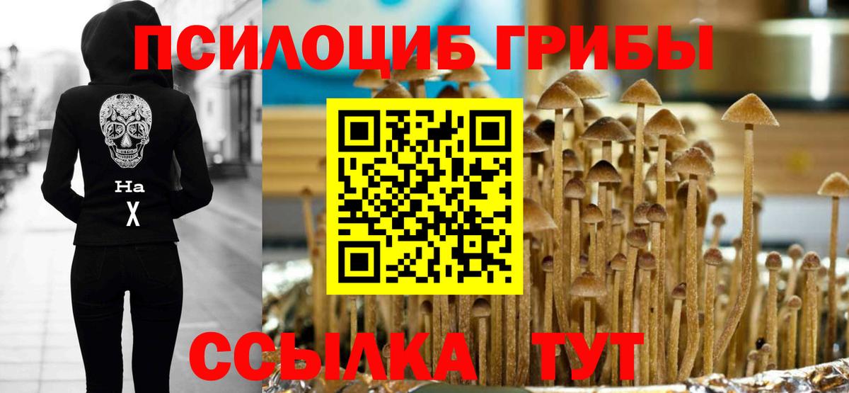 Псилоцибиновые грибы Magic Shrooms Горячий Ключ